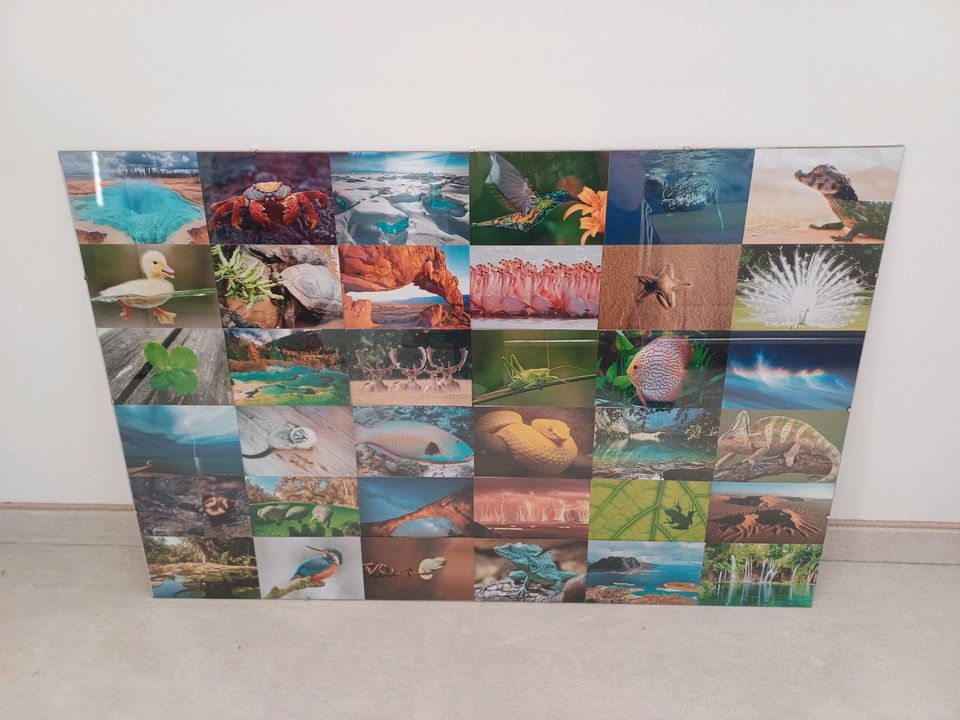 Bilderrahmen Naturfotos 60 x 90 Glas Bild Foto Natur Rahmen Deko in Frankfurt (Oder)