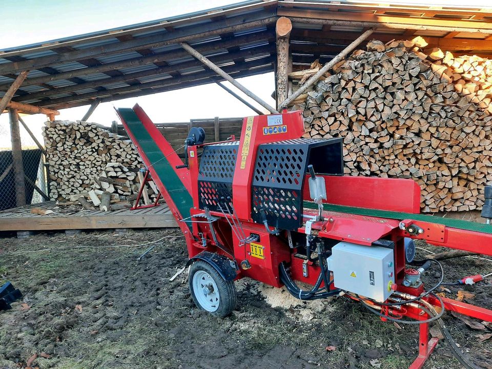 Lohnspalten Sägespaltautomat Holzspalten Holzspalter Brennholz in Rodewisch