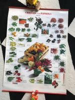 Poster Plakat Deko Chilis und Paprika Küche Teubner Thüringen - Erfurt Vorschau