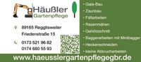 Wir suchen einen Garten- und Landschaftsbauer (m/w/d) Baden-Württemberg - Dietenheim Vorschau