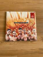 Rammstein Herzeleid LP OVP Rheinland-Pfalz - Salmtal Vorschau