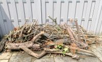 Brennholz zu verschenken Nordrhein-Westfalen - Krefeld Vorschau