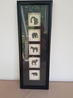 Wandbild Schaukasten Vitrine  Tafel Deko Dekoration Tiere Niedersachsen - Wedemark Vorschau