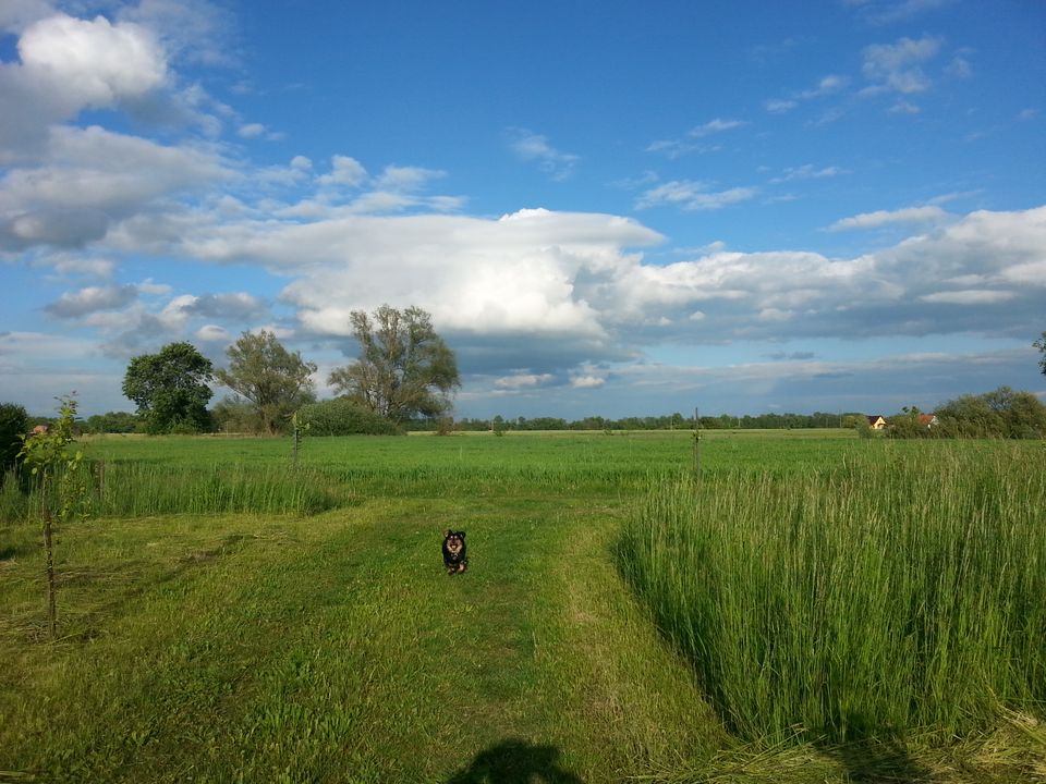 Top Erholungsgrundstück Gartengrundstück Privatgrundstück in privater Eigentümeranlage zum Pachten, Kaufen oder Mietkaufen möglich.  in Friedensstr., 15328 Küstriner Vorland(58km von Berliner Stadtgre in Berlin