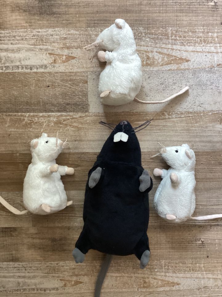 IKEA Ratte schwarz  !!!! in Wuppertal