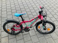 Fahrrad 20 Zoll Lapierre Baden-Württemberg - Balingen Vorschau