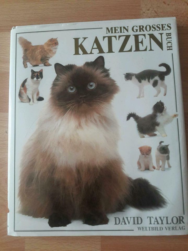 Katzenbuch Neuwertig in Königshain bei Görlitz