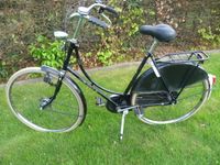 Gazelle A-Touren  28er Damenfahrrad Hollandrad RH57 / 3Gang Niedersachsen - Meppen Vorschau