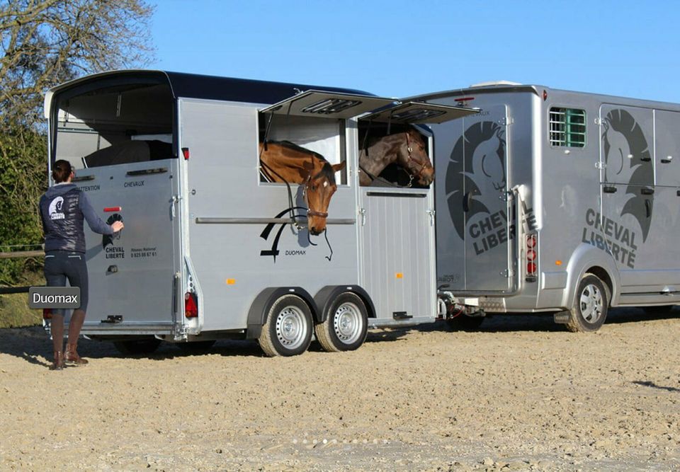 Cheval Liberte Maxi 2⭐️2600kg Frontausstieg Sattelkammer Tempo100 Aluboden Pferdeanhänger NEUFAHRZEUG MAXI2⭐️ in Pirk