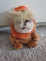 Neu/Plüsch Star Wars Ewok Brandenburg - Petershagen Vorschau