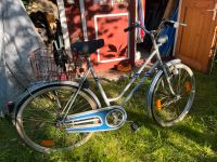 Vintage Damen Hercules bike Hessen - Hofheim am Taunus Vorschau