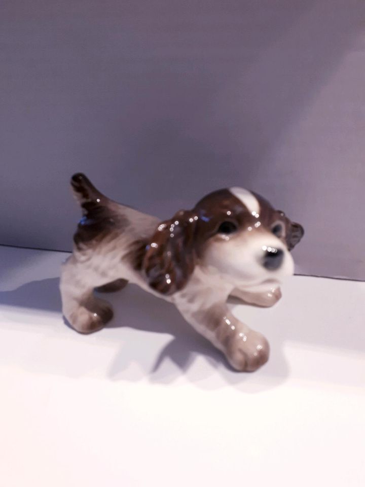 Goebel Porzellan Figur Hund "Cocker Spaniel Welpe" Glanz in Nürnberg (Mittelfr)