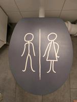 Hornbach WC-Sitz grau Mann/Frau aus Holz Dresden - Johannstadt Vorschau