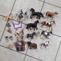 Schleich Pferde Set mit Hund Hase Mustang Trakener Nordrhein-Westfalen - Wiehl Vorschau