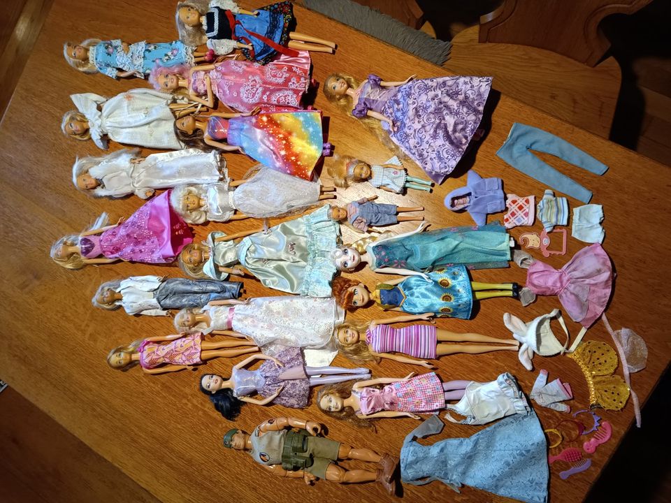 16 Barbies, 2 Kinder, Zubehör in Geisenhausen