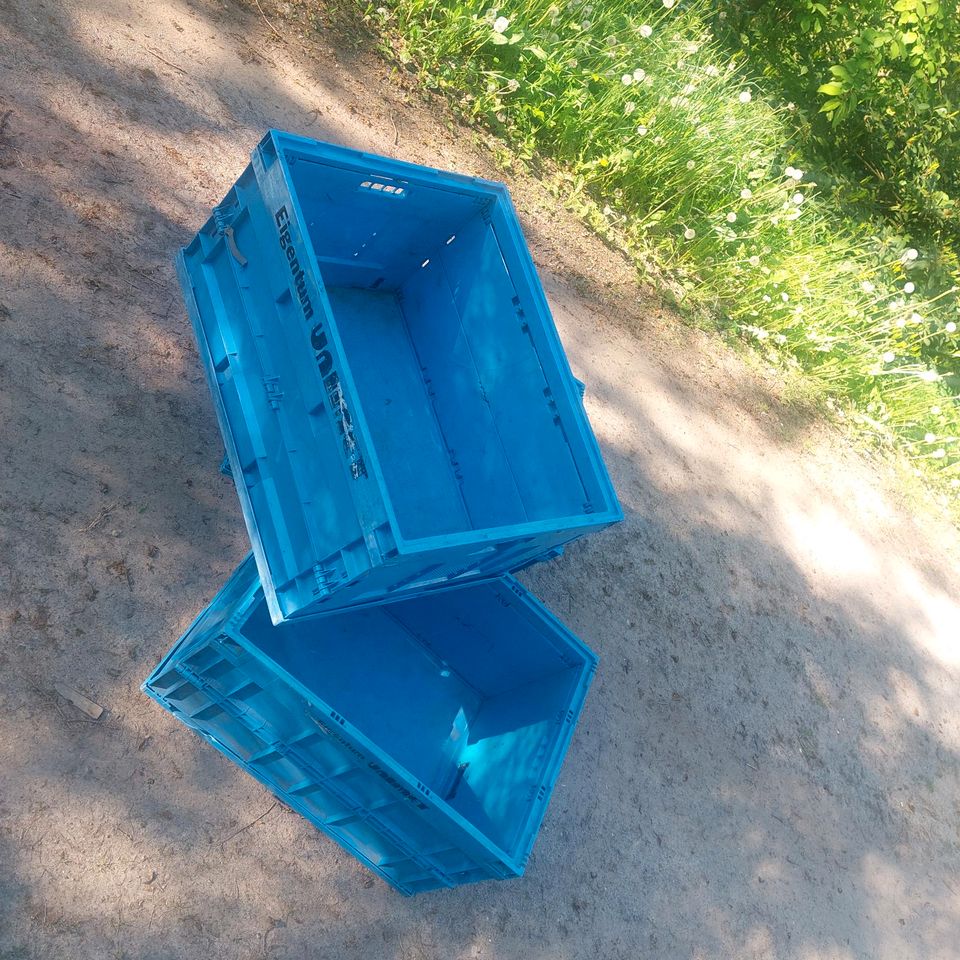 Faltbox Lagerbox groß Kiste in Wutha-Farnroda