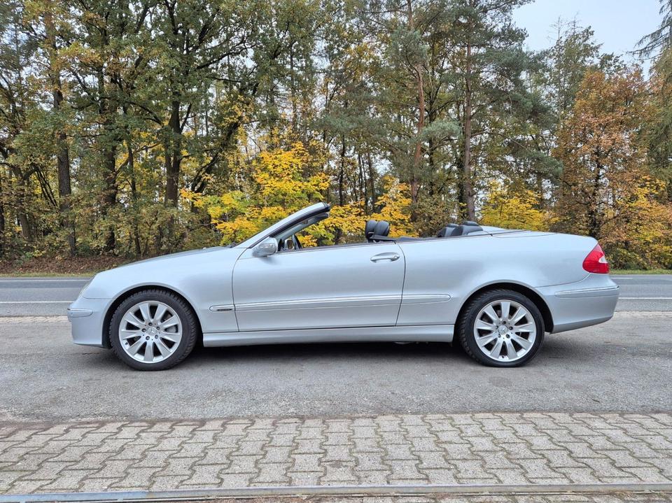 Mercedes-Benz CLK 320 CDI Cabrio Elengance |Leder|Sitzhzg|SHG| in Winsen (Luhe)