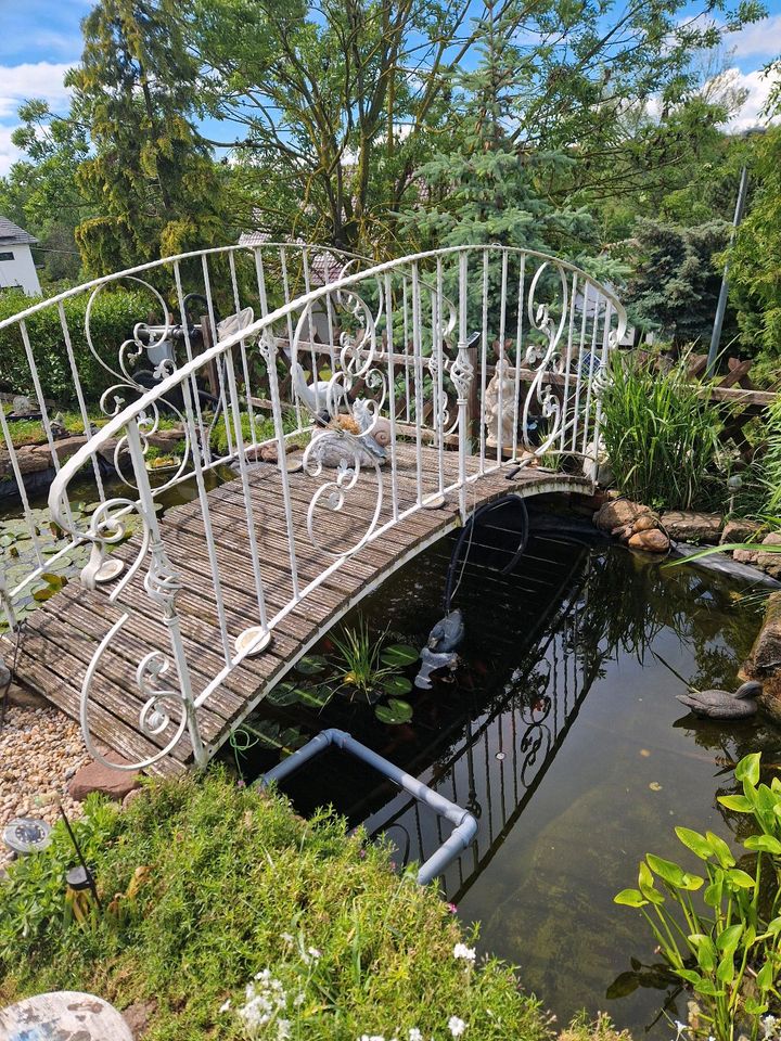 Gartenbrücke Teichbrücke in Seegebiet Mansfelder Land