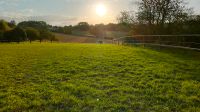 Rentnerkoppel Offenstall Koppelplatz Baden-Württemberg - Ostelsheim Vorschau