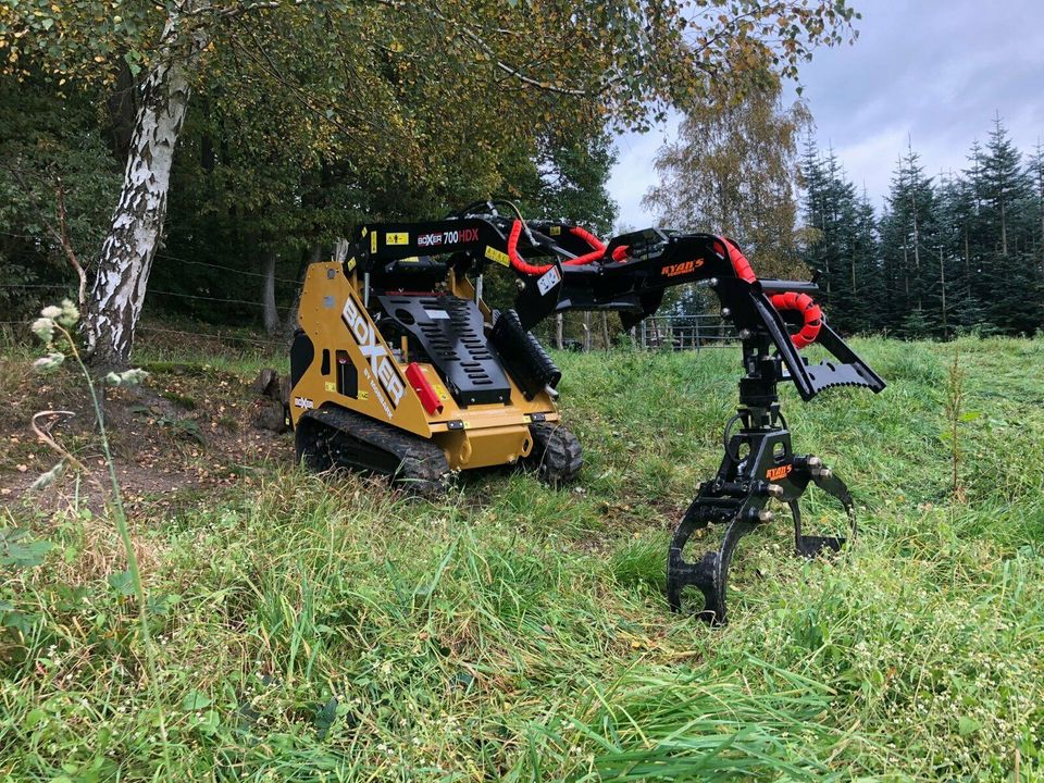 Boxer 700 HDX Geräteträger Demomaschine in Sundern (Sauerland)