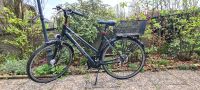 Pegasus Solero SL Damen Trekkingrad 28 Zoll Nordrhein-Westfalen - Billerbeck Vorschau