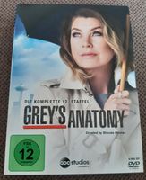 Greys Anatomy Staffel 12 incl Versand Saarland - Wallerfangen Vorschau