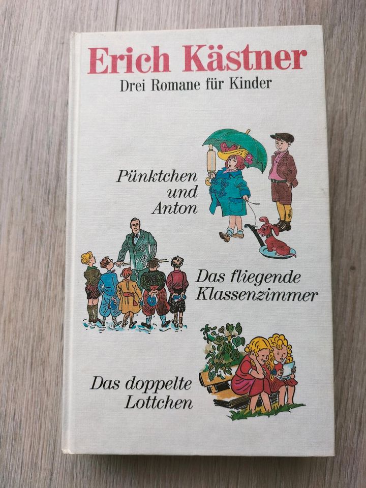 Bücherkiste 1 Romane in Bad Rappenau