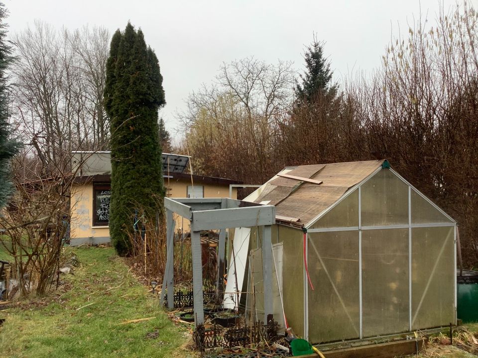 Garten Wochenendgrundstück in Kamenz mit Laube und Schuppen ab so in Kamenz