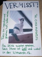 Katze vermisst in Neuhaus Niedersachsen - Neuhaus Vorschau