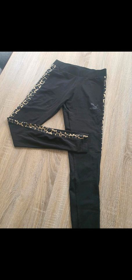 Puma Leggings Sporthose in Blankenheim