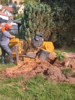 Baumstumpf fräsen / Wurzel fräsen Großlohra - Münchenlohra Vorschau