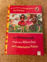 Leselernbuch, 1. Klasse, von Bücherbär, über Feen und Elfen Brandenburg - Falkensee Vorschau