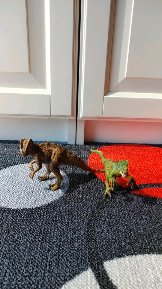 Dinosaurier Konvolut in Rostock