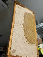 Honig in Waben Bayern - Emersacker Vorschau