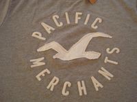 Hollister T-Shirt , XL , grau , neu! Brandenburg - Paulinenaue Vorschau