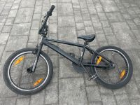 Dragonfly BMX 20 Zoll Bayern - Eckental  Vorschau