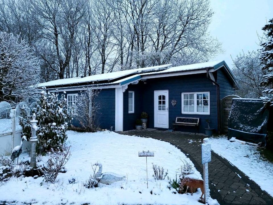 Ferienhaus Nordsee u. Ostsee mit Hund an der dänischen Grenze in Ladelund