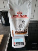 Royal Canin Gastrointestinal Hund Nordrhein-Westfalen - Brilon Vorschau
