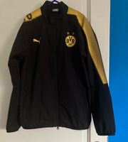 Jacke Puma Jungen BVB Größe 152 Brandenburg - Königs Wusterhausen Vorschau