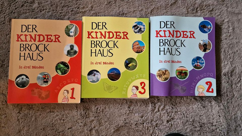 Walt Disney Kinderbücher Brock Haus Taschenbücher in Blankenhain