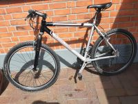 Mountainbike / Bergamont / Shimano XT / Rahmenhöhe 52 cm Wandsbek - Hamburg Wellingsbüttel Vorschau