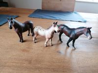 Schleich Tiere Bayern - Salzweg Vorschau