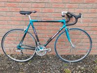 Rennrad, Vintage, Oldtimer, Giant Cadex, RH 54 cm Schleswig-Holstein - Kiel Vorschau