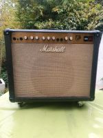 Marshall Vintage Verstärker JTM-30 Köln - Nippes Vorschau