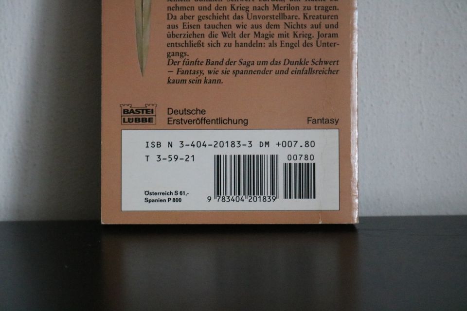 Buch - Die Engel des Untergangs - Fantasy Roman in Beilstein