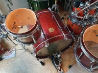 Suche Sonor 10 Tom Force Maple Tunlip Red Designer Bayern - Wolframs-Eschenbach Vorschau