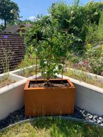 Neu Blumentopf Pflanztopf Pflanzkübel Kräutergarten Kräuterbeet Baden-Württemberg - Krauchenwies Vorschau