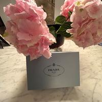 Prada Pumps Innenstadt - Köln Altstadt Vorschau
