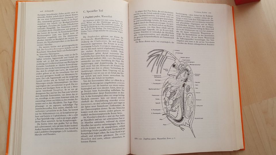 3 Zoologie-Bücher (Kükenthal, Storch & Welsch) - Biologie in Hamburg