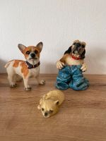 3 Hundefiguren/Stiftehalter,Sammlerfiguren,Sammeln,Hund Nordrhein-Westfalen - Zülpich Vorschau